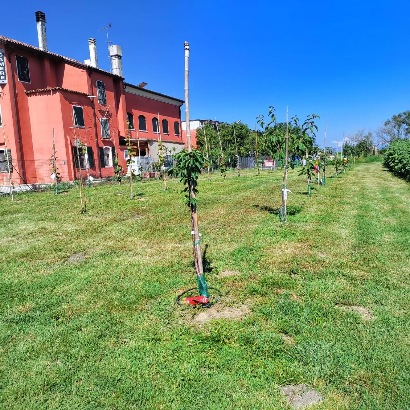 Quadrifoglio Relax Guest House ซานโดนาดิเพียเว ภายนอก รูปภาพ