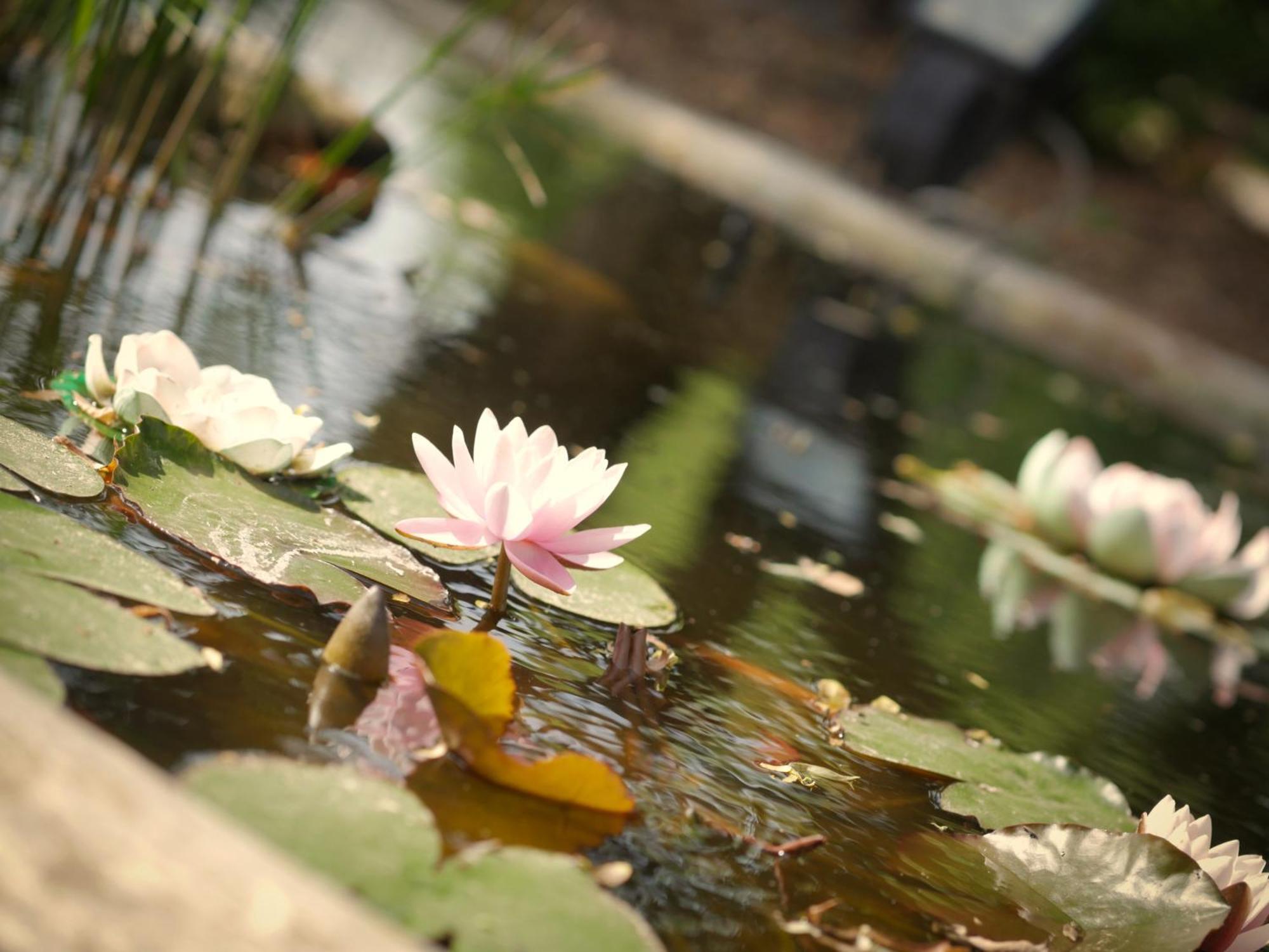 Quadrifoglio Relax Guest House ซานโดนาดิเพียเว ภายนอก รูปภาพ