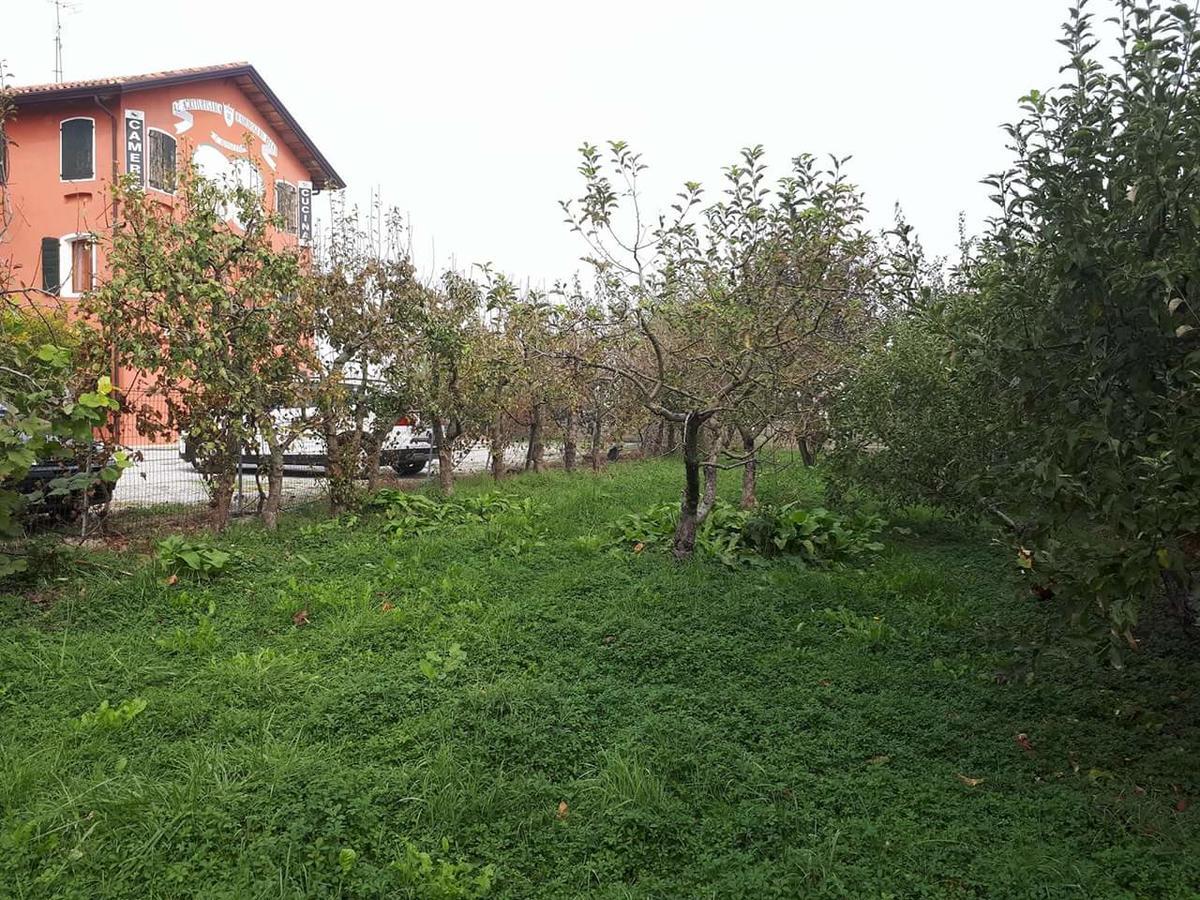 Quadrifoglio Relax Guest House ซานโดนาดิเพียเว ภายนอก รูปภาพ